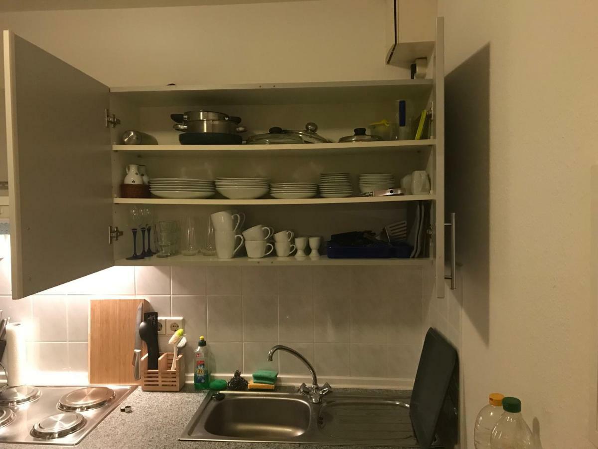 Kleine Wohnung Im Gruenen Dresden Eksteriør billede